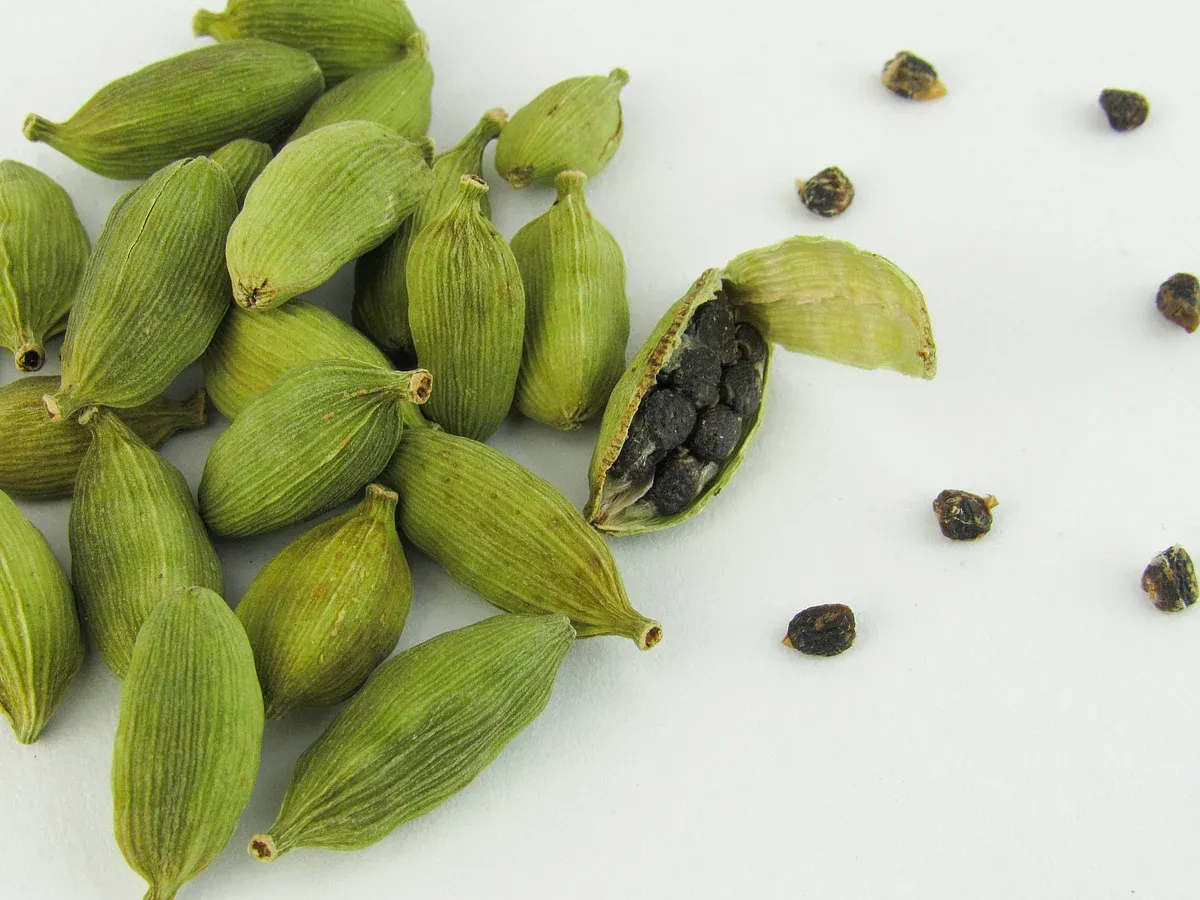 cardamom futures, price discovery, risk management