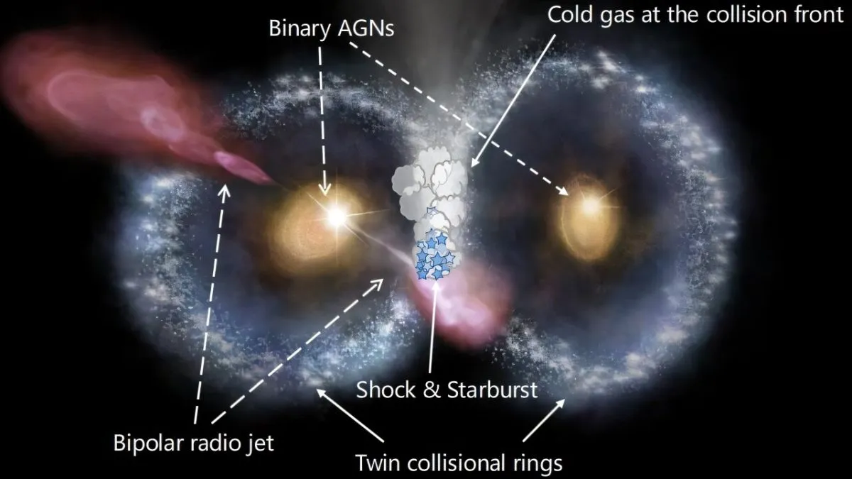 "Cosmic Owl" galaxies, ring galaxies, galaxy evolution
