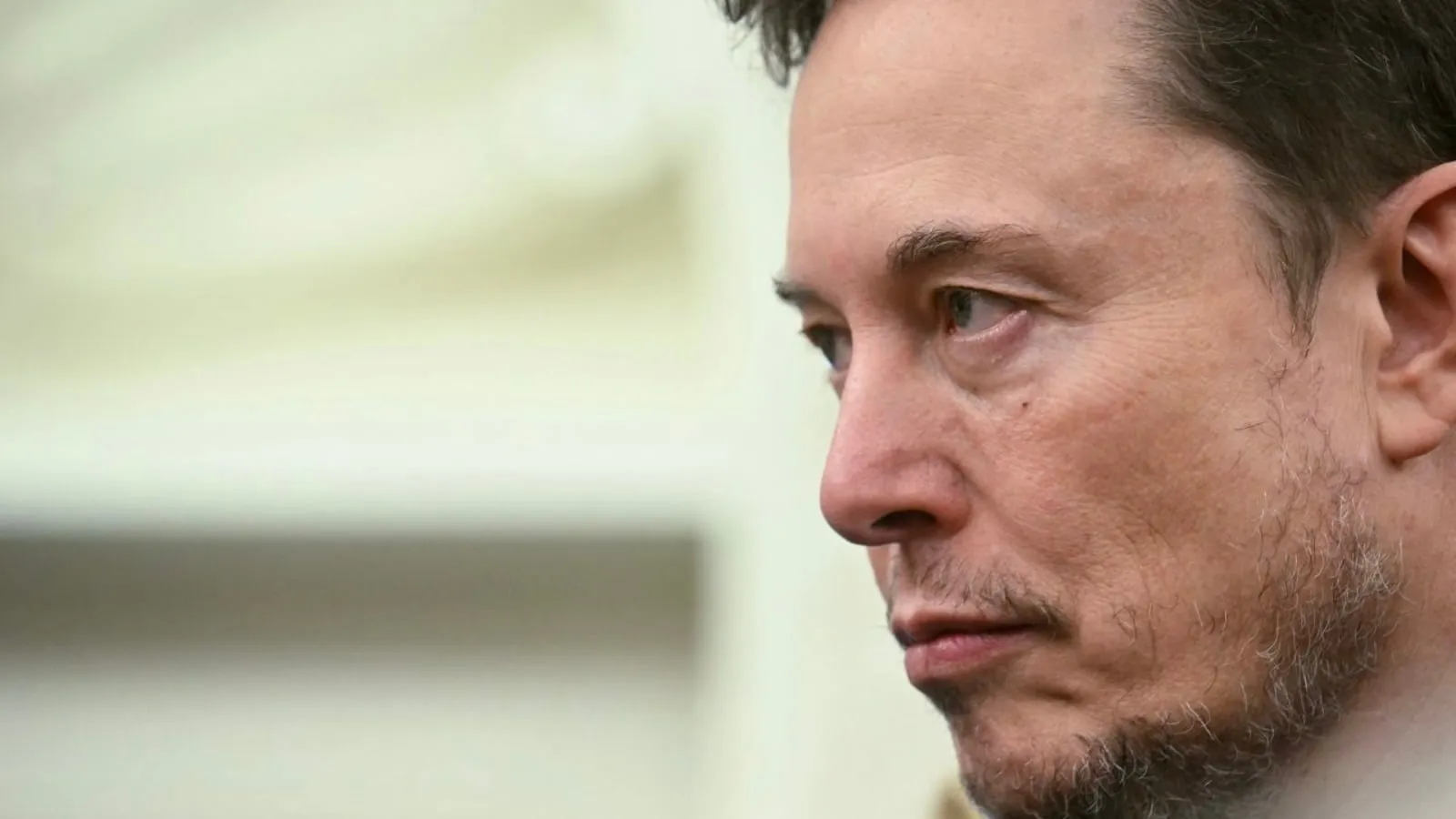 Elon Musk, xAI, artificial intelligence