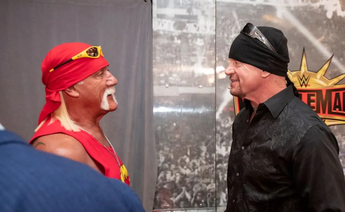 Hulk Hogan, WWE, pro wrestling