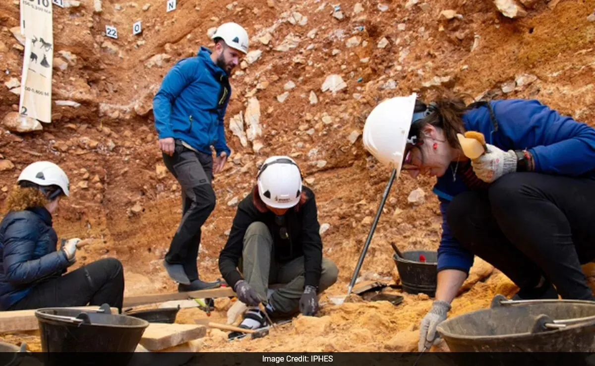 human ancestors, cannibalism, Gran Dolina cave site
