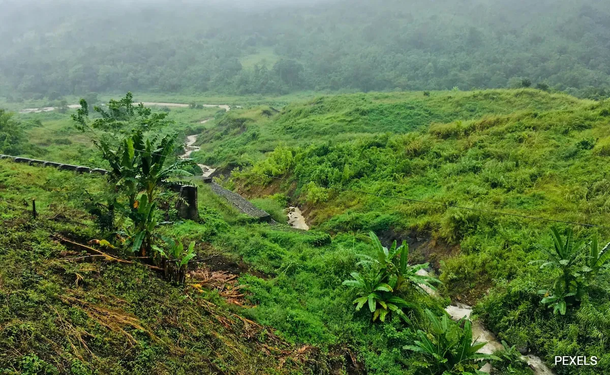 Assam eviction drives, forest land, illegal encroachments
